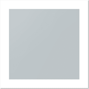 Solid Platinum Light Gray Monochrome Minimal Design Posters and Art